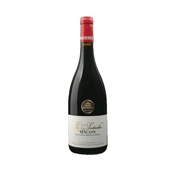 Macon Cuvée Milly Lamartine rouge 2022